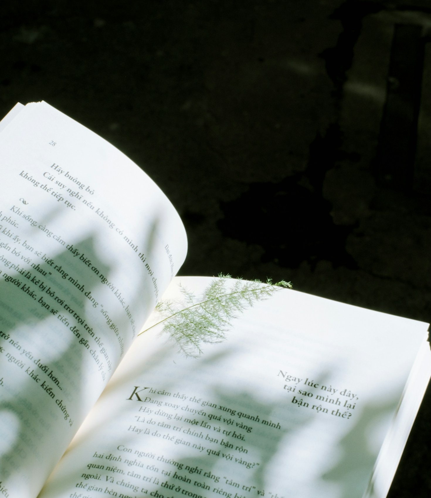 Crafting Stories That Pay: A Writer’s Guide